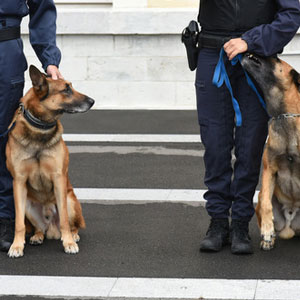 Gendarmerie