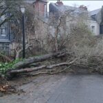 Tempête Goretti : une trentaine d&rsquo;arbres arrachés à Honfleur ; les parcs et jardins restent fermés 1