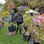 Passionnément Jardin : c&rsquo;est ce week-end à Honfleur ! 